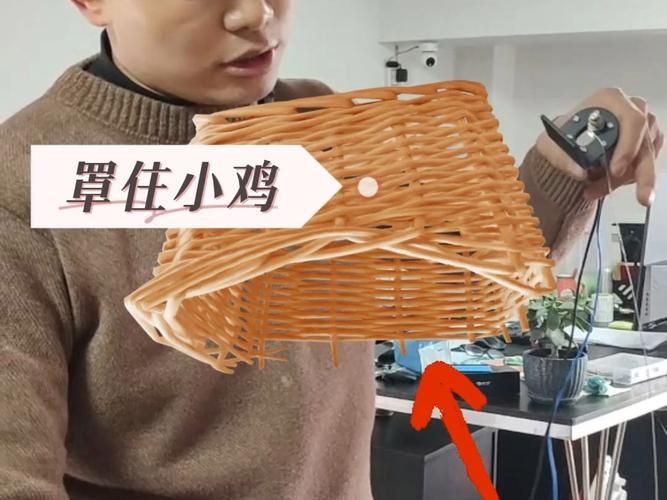 小鸡哪里跑？别担心，教你几招抓鸡小妙招！