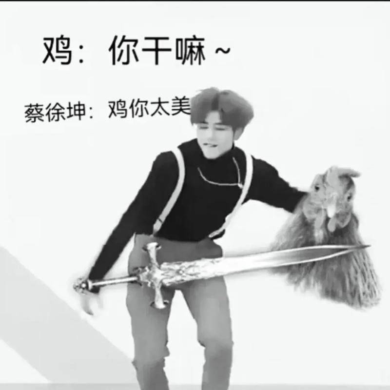 小黑子蔡徐坤什么梗？这篇文章看完你就懂了！