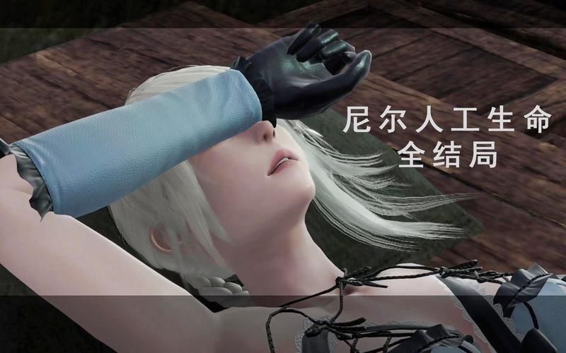 尼尔人工生命怎么玩？超详细新手入门攻略！
