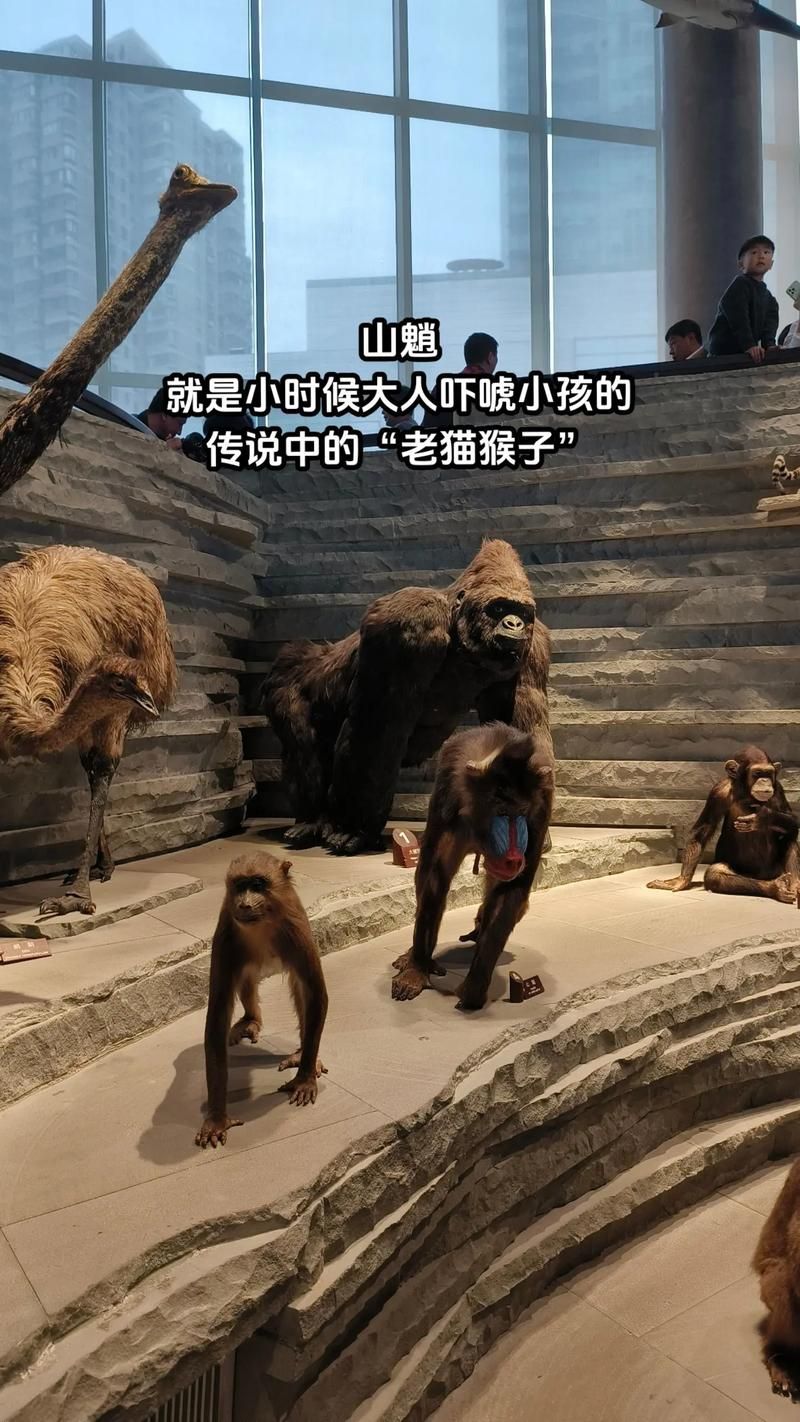 山中之物大揭秘，一起来看看都有什么宝贝！
