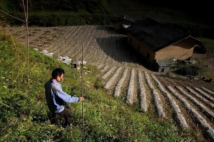 山中老人怎么生活？走进大山深处的隐居日常！