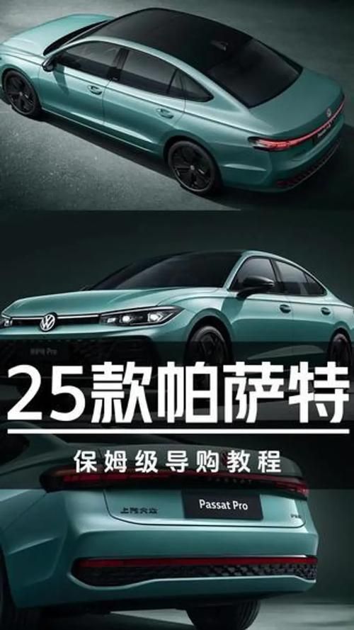 帕尔萨斯是什么？新手小白一看就懂的全面介绍！