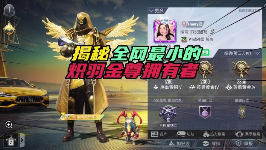 平民玩家看过来，炽羽金尊怎么获得看这里！