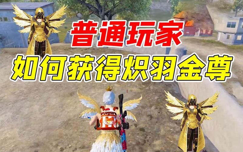 平民玩家看过来，炽羽金尊怎么获得看这里！