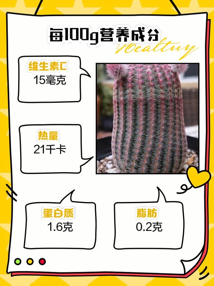 平民玩家福音！四阶仙人掌获取方法大公开！