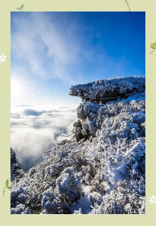 烟雨江湖西岭雪山爬山技巧：掌握这些轻松登顶