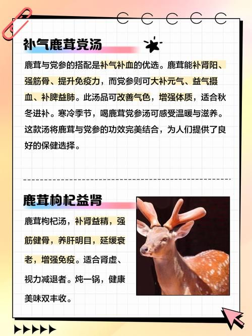 烟雨江湖鹿茸购买方法及位置详解，快速提升属性