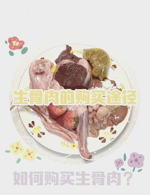 烧烤裂蹄牛图纸哪里买？坐标位置及购买价格详解