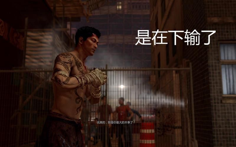 热血无赖3DM下载：重温经典，体验不一样的警匪世界！