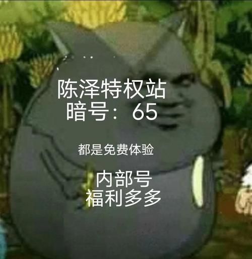 热血江湖新手卡领取方法详解：助你快速升级