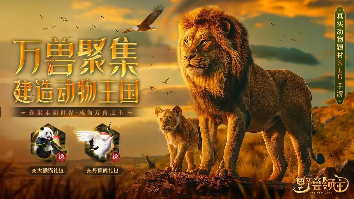 热血轩辕攻略大全：快速升级，称霸全服