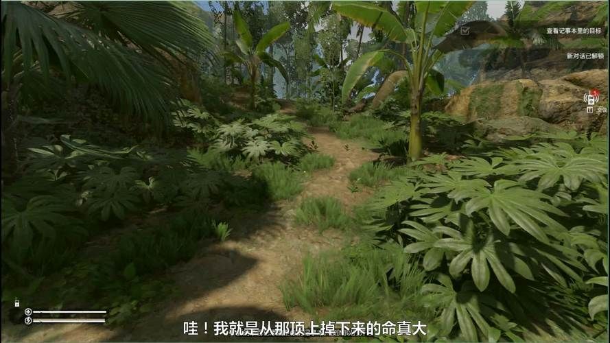 热门游戏绿色地狱：亚马逊之魂带你体验原始森林