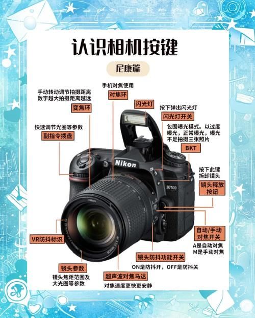 照片处理工具使用方法详解：小白也能轻松学会