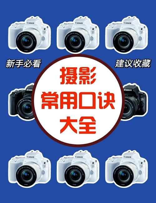 照片处理工具使用方法详解：小白也能轻松学会