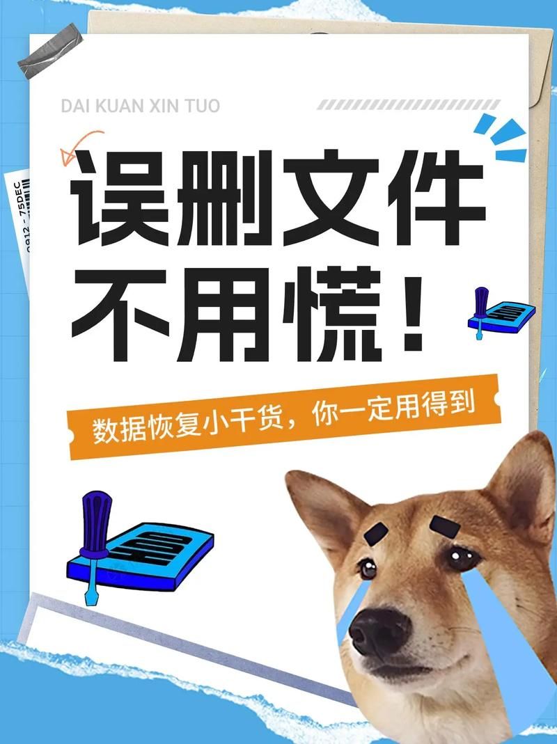 照片视频误删了？佳易数据恢复专家帮你找回来！