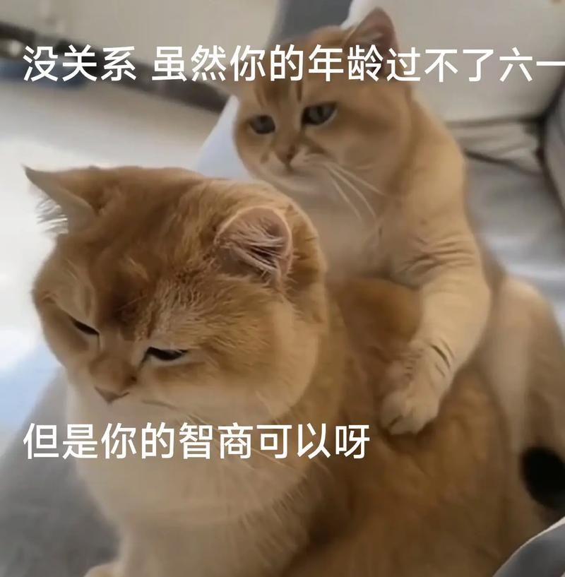 爆款六一快乐表情包来袭，分享给你的朋友，一起过节！