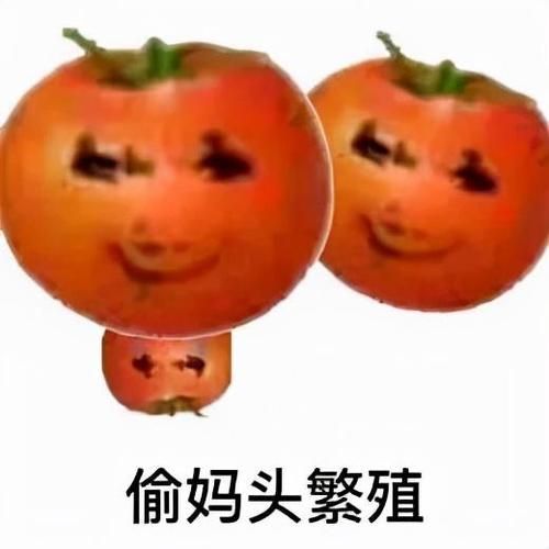 爆火偷妈头表情包下载，让你聊天更有趣！