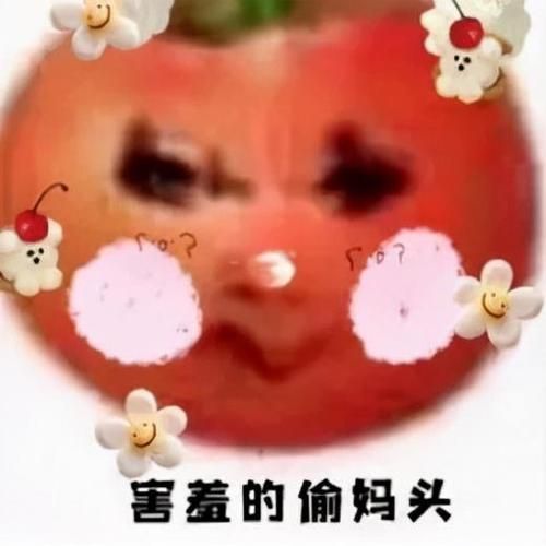 爆火偷妈头表情包下载，让你聊天更有趣！