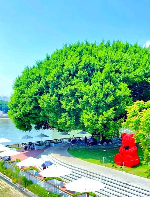 爱情岛论坛独家提供：福州爱情岛浪漫升级，520领证超火爆！