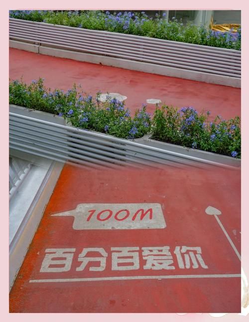 爱情岛论坛独家提供：福州爱情岛浪漫升级，520领证超火爆！