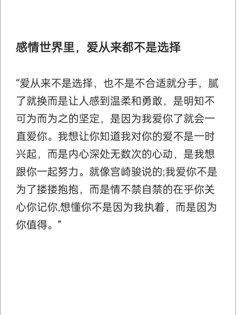 爱的那么认真，却换来什么？歌曲解读