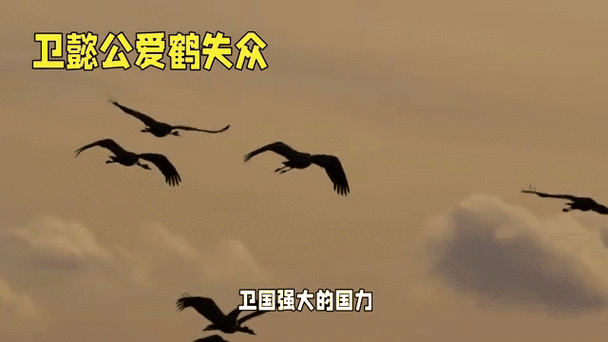 爱鹤失众：比喻因小失大，你了解其深刻含义吗？