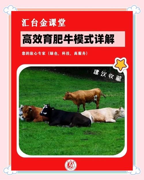 牛的繁殖技术详解：提高牛群繁殖率的实用技巧