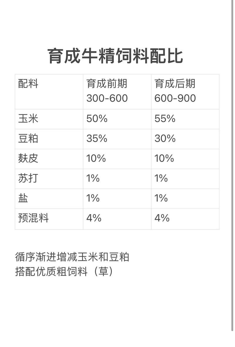 牛的繁殖技术详解：提高牛群繁殖率的实用技巧