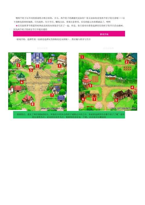 牧场物语双子村攻略：全任务完成技巧与心得