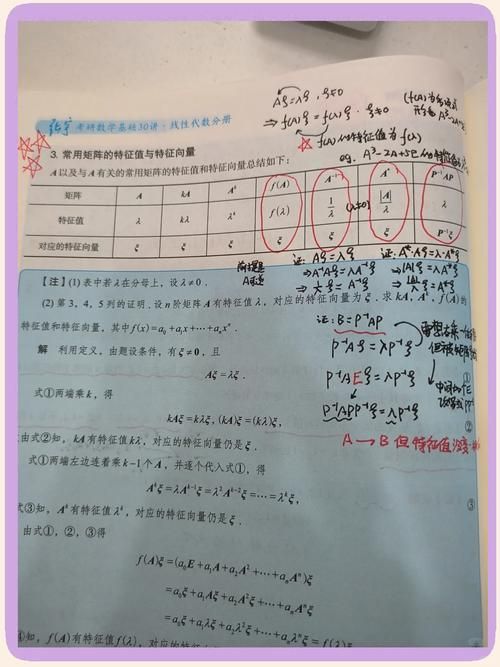 特征向量是什么？一文详解特征向量及其应用