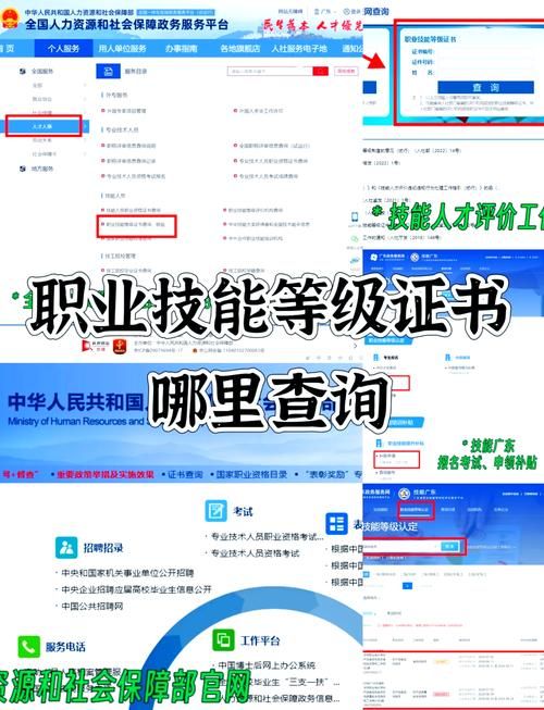 特种设备操作证查询官网是什么？权威平台教你一步一步查