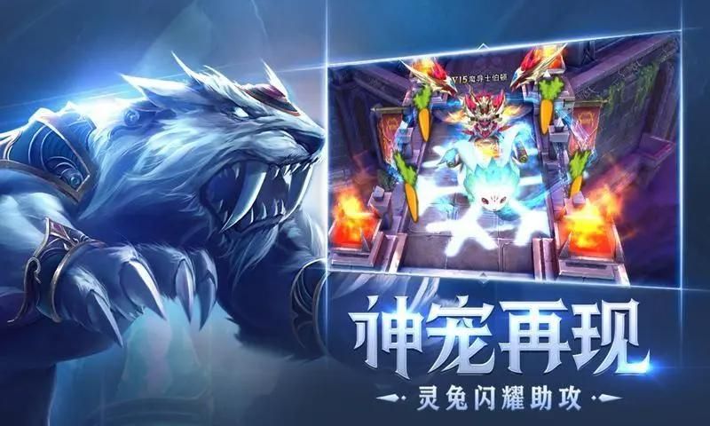 狂暴之翼宠物觉醒及培养攻略：助你战力飙升