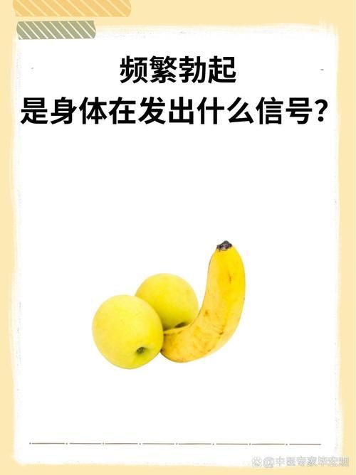狗茎进入人体图的真相：避免误解与陷阱
