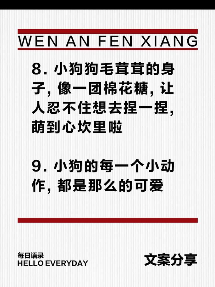 狗贼是什么意思？网络流行语“狗贼”深度解析