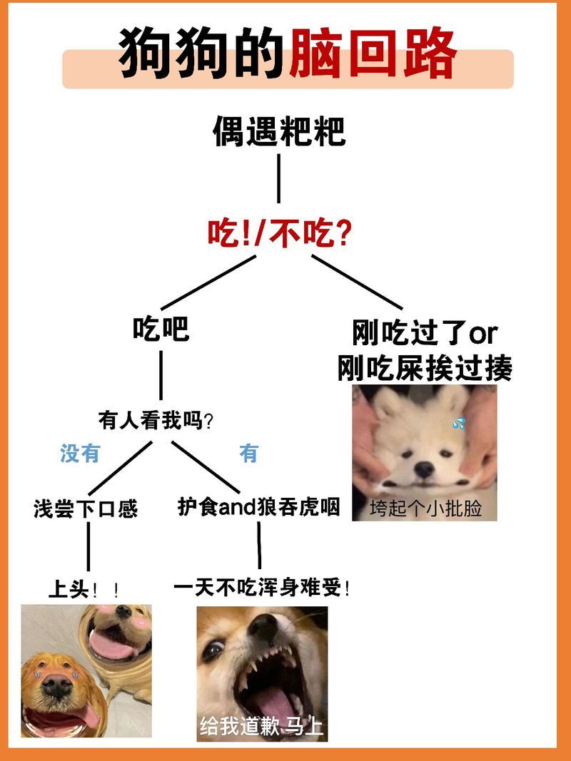 狗贼是什么意思？网络流行语“狗贼”深度解析