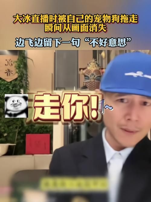 独家揭秘：狗哥直播意外停播的真正原因！