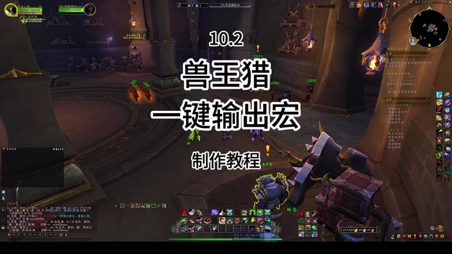 猎人宝宝技能详解：教你轻松掌握宠物技能技巧