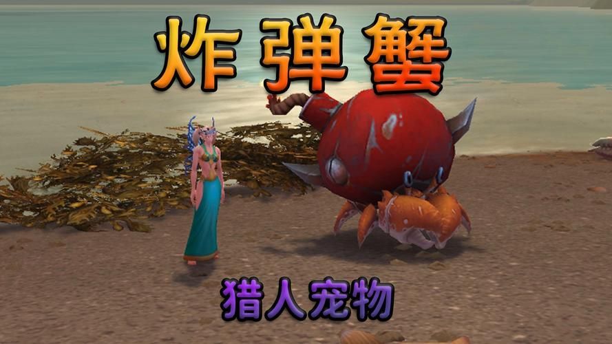 猎人猪宝宝版本更新：新增宠物及游戏玩法