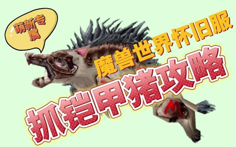 猎人猪宝宝版本更新：新增宠物及游戏玩法