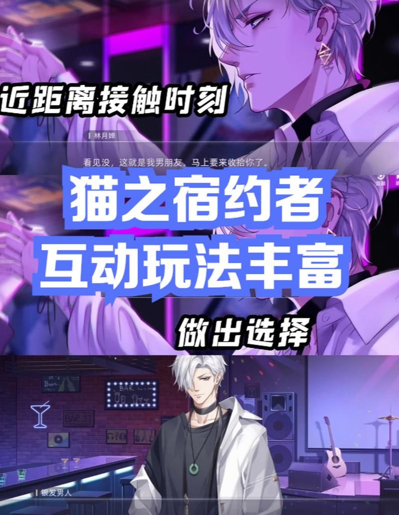 猫之宿约者：每个男主好感度提升攻略详解