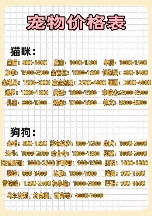 猫交易平台官网：宠物猫交易的最佳选择