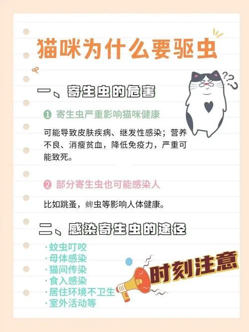 猫会抓蚊子吗？猫咪抓蚊子的秘密大揭秘