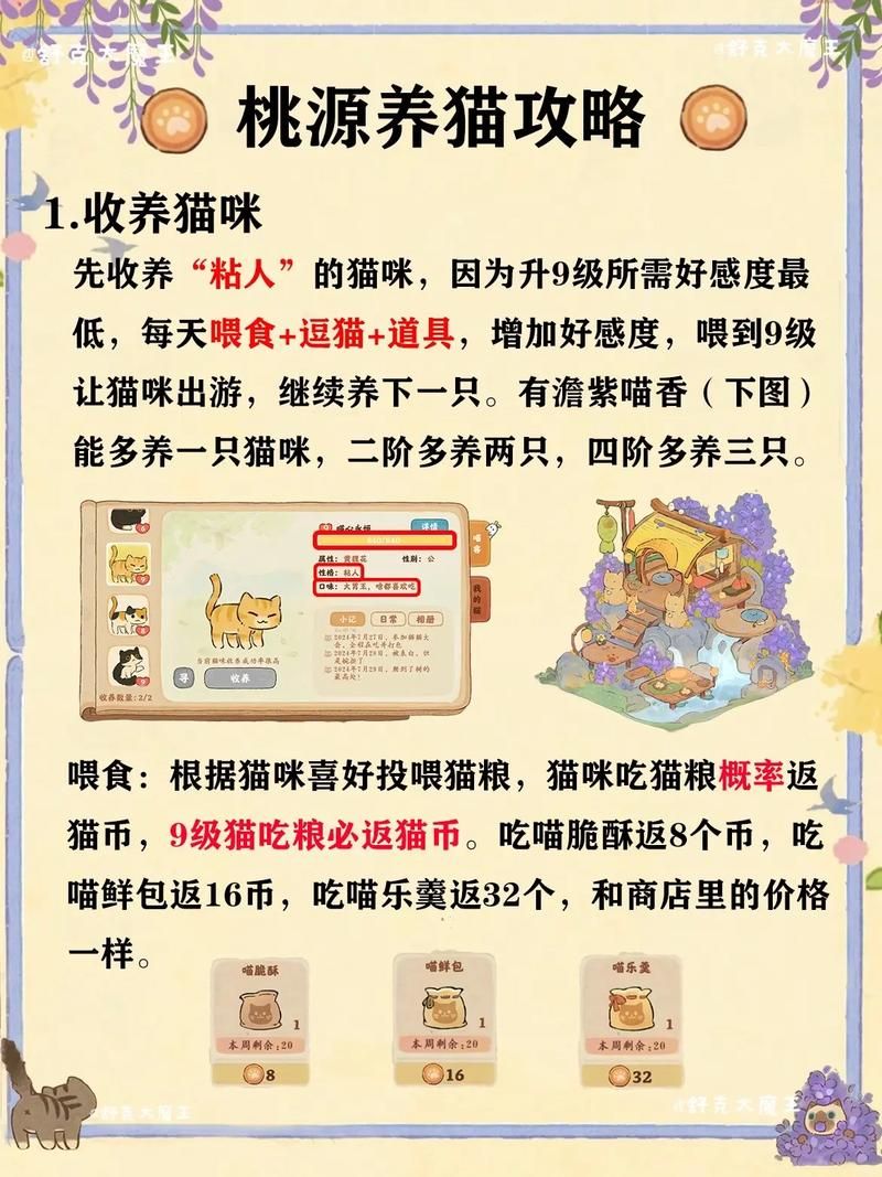 猫咪公寓攻略大全：新手必看，轻松玩转猫咪公寓