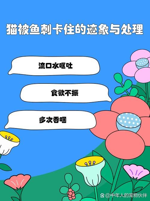 猫咪吃鱼，鱼刺去哪了？秘密都在猫舌头上！