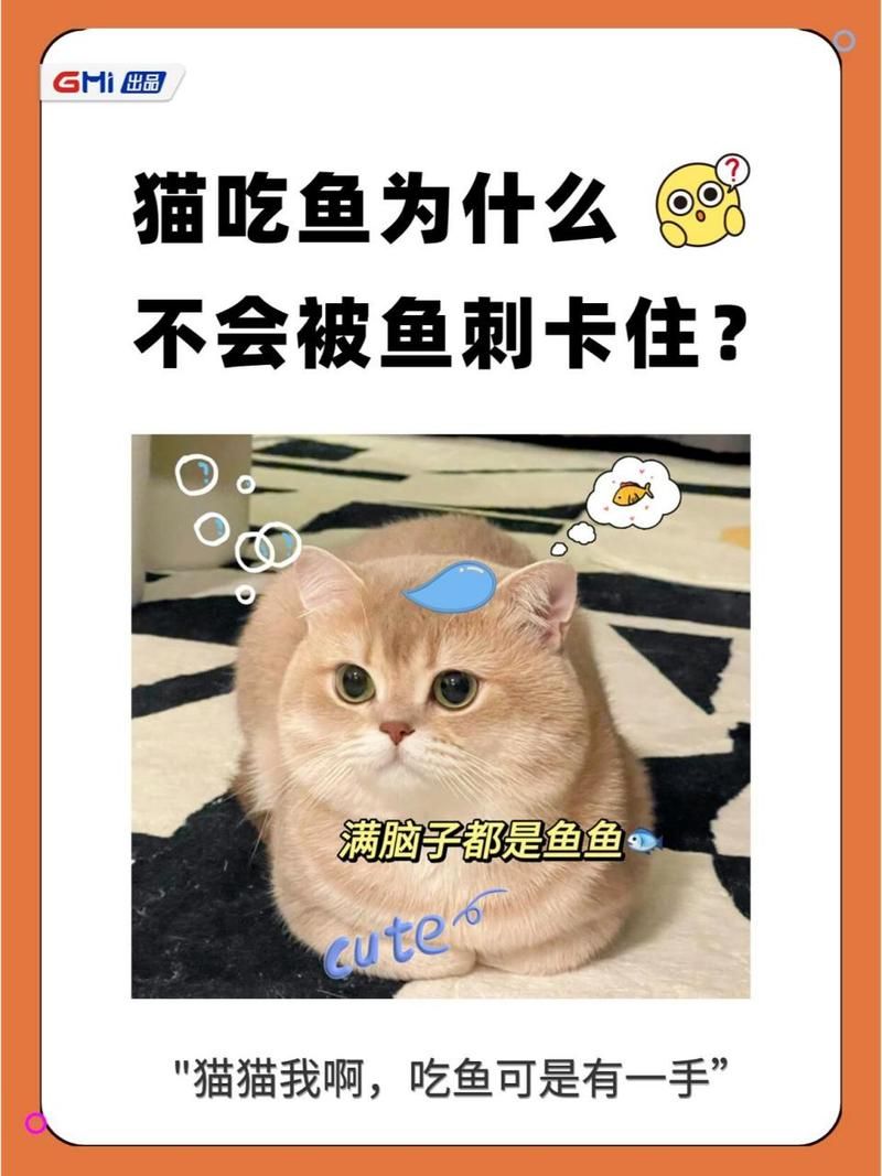 猫咪吃鱼，鱼刺去哪了？秘密都在猫舌头上！