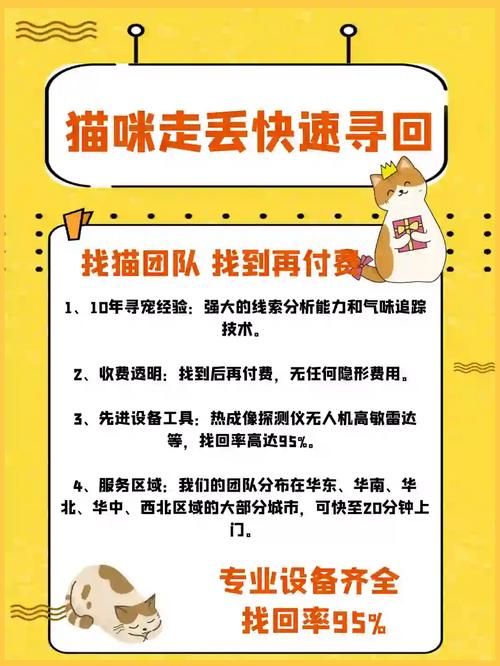 猫咪官网社区入口地址：寻找志同道合的朋友
