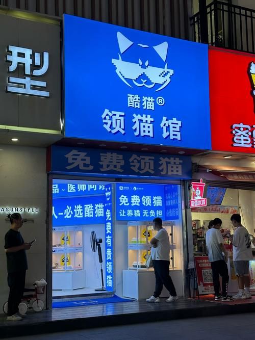 猫咪官网社区入口地址：寻找志同道合的朋友