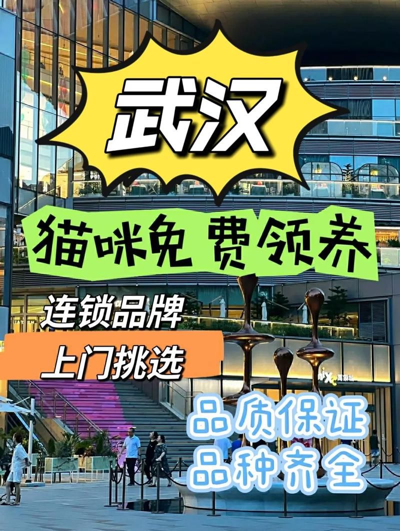 猫咪社区官网新功能上线，更多精彩内容等你发现