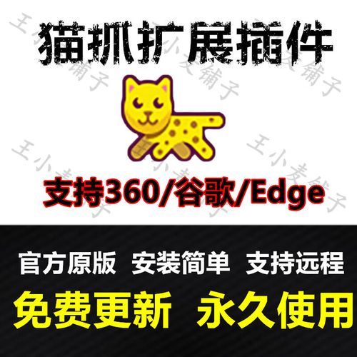 猫抓插件下载：浏览器神器，一键下载网页资源