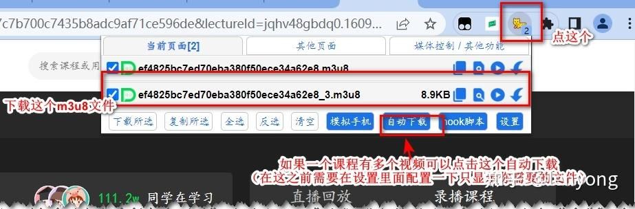 猫抓插件好用吗？一键下载网页视频，告别视频网站限制！
